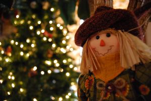 Scarecrow and Christmas Tree